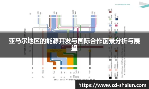 亚马尔地区的能源开发与国际合作前景分析与展望