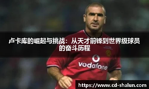 快盈VIII